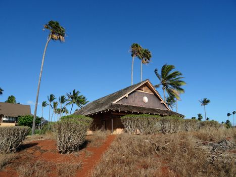 Path to Boarded-up Golf Pro Shop surrounded by coconut trees on Molokai, Hawaii. 