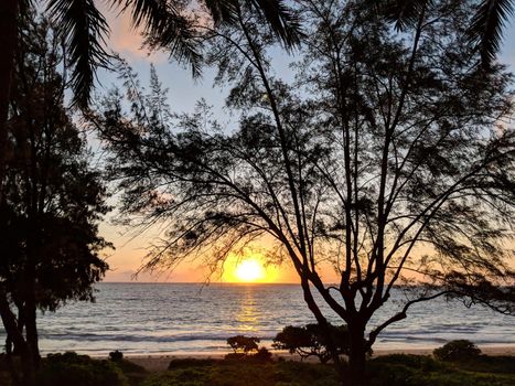 Early Morning Sunrise on Waimanalo Beach on Oahu, Hawaii over ocean bursting through the clouds and trees. 2018.