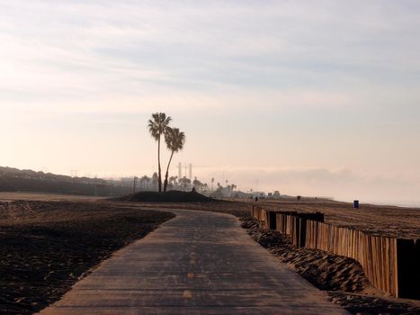 Bike Path and palm trees on the beach at  Dockweiler Beach State Park, Playa Del Rey in Los Angeles, California with sun rising overhead.