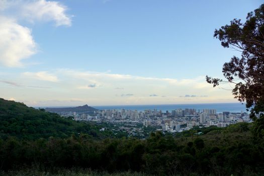 Mountain view of The city of Honolulu from Diamond head to Manoa with Kaimuki, Kahala, and oceanscape visible on Oahu on a nice day at dusk viewed from high in the mountains with tall trees in the foreground.  