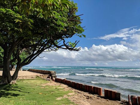 Grass field, and trees in park with shore wall next to shallow ocean waters with waves of Waikiki looking into the pacific ocean at Leahi Beach Park on Oahu, Hawaii on a beautiful day. 