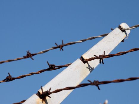 Rows of Barb Wire fence going upwards and blue sky.