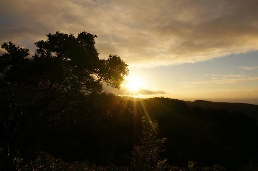 Sunset behind the Tantalus mountain past tropical silhouette of trees through the clouds on Oahu, Hawaii.