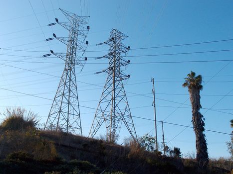 High Voltage Power Lines intersect at two large metal Utility pole with palm tree against a blue sky in Los Angeles, California.