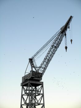 Cargo Ship Crane Covered in birds at Dusk in San Francisco, California.  