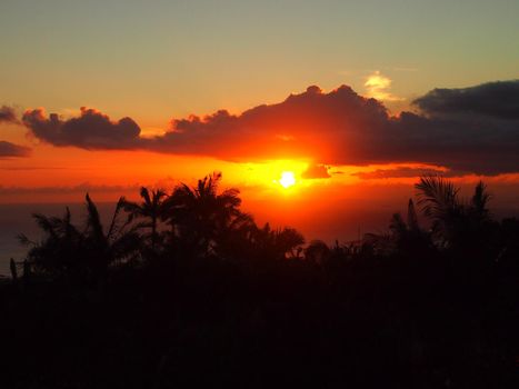 Sunset through the clouds over the ocean seen from Tantalus mountain past tropical silhouette of trees  on Oahu, Hawaii.