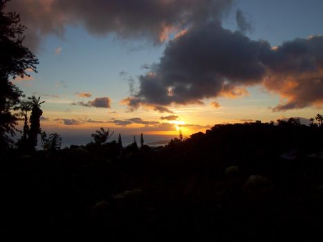 Sunset through the clouds over the ocean seen from Tantalus mountain past tropical silhouette of trees  on Oahu, Hawaii.