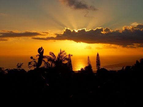 Sunset through the clouds over the ocean seen from Tantalus mountain past tropical silhouette of trees  on Oahu, Hawaii.