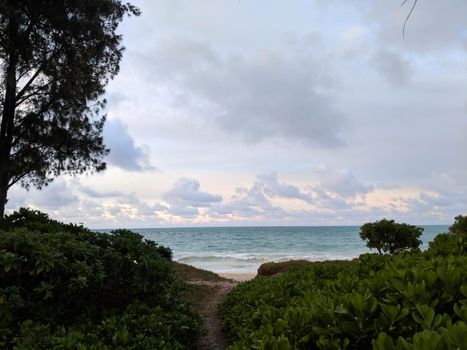 Sand Pathway leading to the ocean surrounded by plant and trees in Waimanalo, Hawaii.