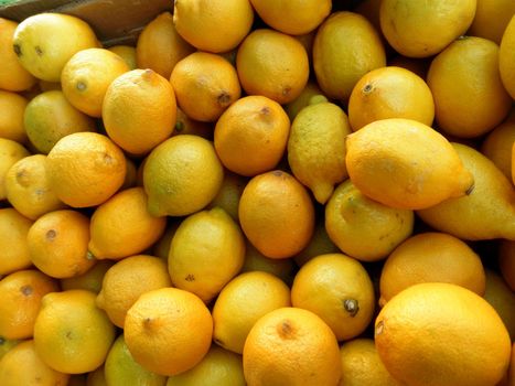 Pile of Organic Lemons found at a farmers market. 