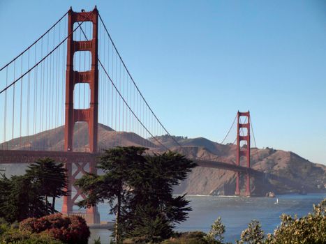 Golden Gate Bridge with trees in the foreground and Marin in the distances in San Francisco, California.