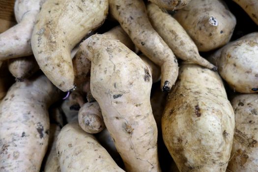 Close-up of local Okinawan Sweet Potato for sell at market.