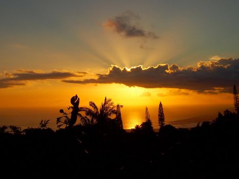 Sunset through the clouds over the ocean seen from Tantalus mountain past tropical silhouette of trees  on Oahu, Hawaii.