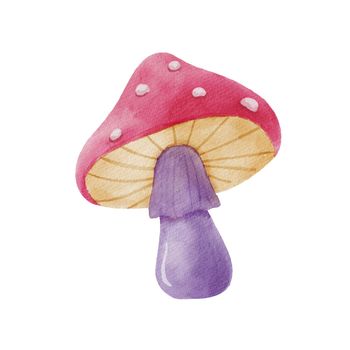 Watercolor illustration with magic Fly agaric mushroom. Hand drawn poison fungi. Forest cute mushroom isolated on white
