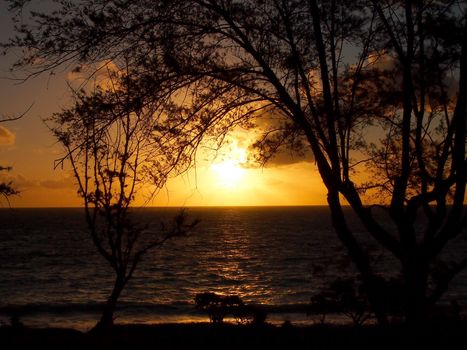 Sunrise on Waimanalo Beach on Oahu, Hawaii over ocean  bursting through the clouds and trees along the shore. 