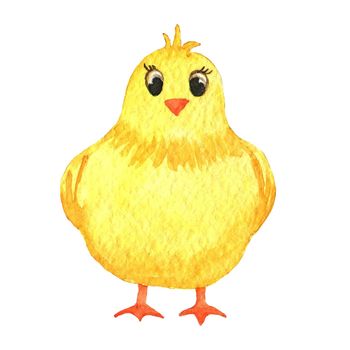 Cute easter yellow chick character isolated on white background. Baby watercolor illustration with farm bird