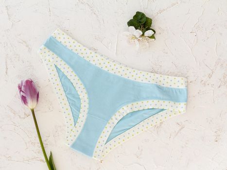 Blue cotton panties with a tulip and flowers of an apple tree on the white background. Woman underwear set. Top view.