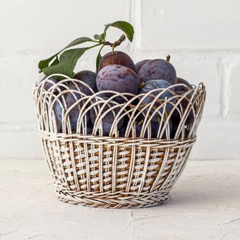 Just picked ripe plums in a wicker basket on the white background. Just harvested fruits.