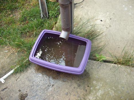 Drinking bowl for animals from rainwater collected from in the roof