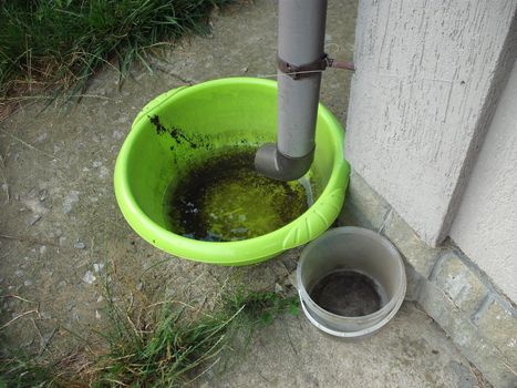 Drinking bowl for animals from rainwater collected from in the roof