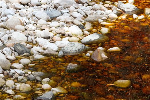 Contrasting white rocks on riverbank with brown tannin tainted forest water