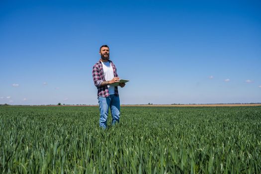 Farmer is examining the progress of crops in his barley field.