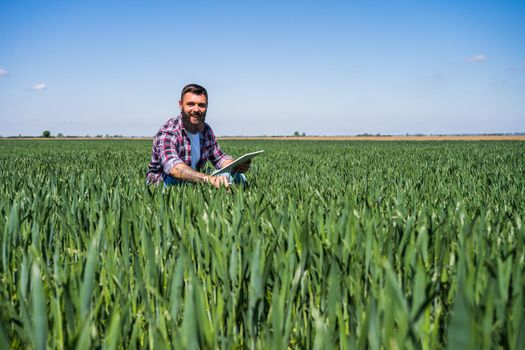 Farmer is examining the progress of crops in his barley field.