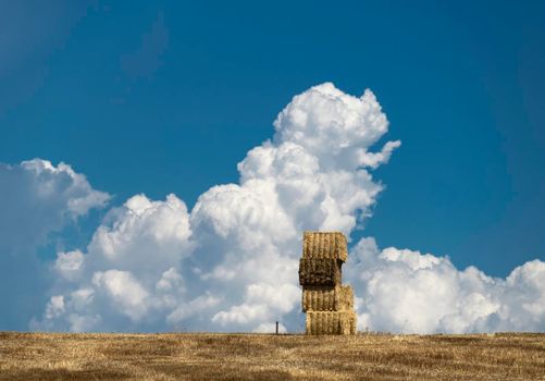 Hay Bales in golden agricultural field against blue sky and clouds.