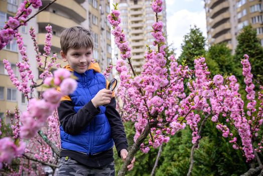 Little boy looking at flower through magnifier. Charming schoolboy exploring nature. Kid discovering spring cherry blossoms with magnifying glass. Young biologist, curious child outdoor activity.