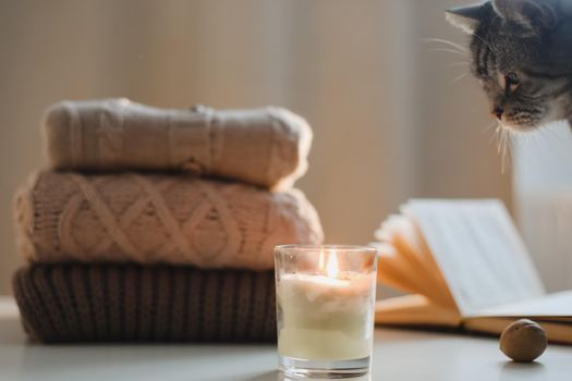 cozy home atmosphere and still life with a cat, candle, book and sweaters on a table