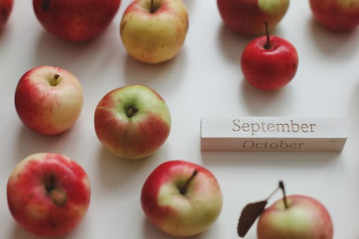 hello autumn card with fresh red apples on white background top view.
