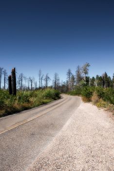 Dry and burned forestland climate change