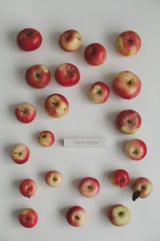 autumn pattern with fresh red apples isolated on white background top view