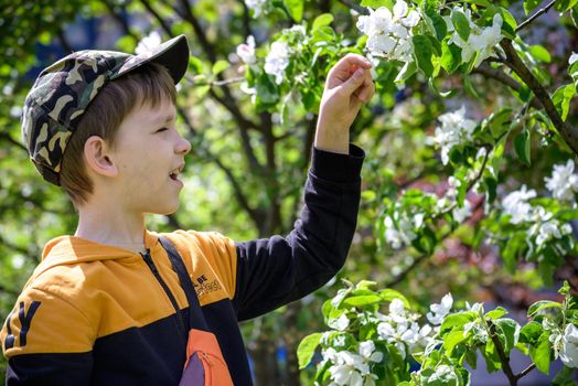 boy portrait, city outdoor, blooming trees, spring season, flowering time. happy boy explore nature