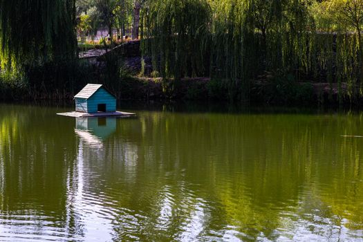 Summer pond with duck house with reflection