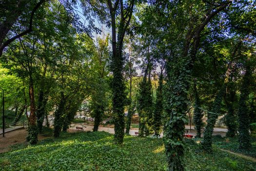 Park chairs in Mziuri park in Tbilisi, Georgia