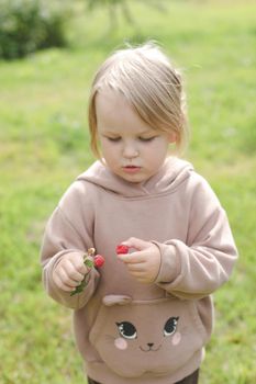 Beautiful little child eating raspberry in the garden outdoors in summer.