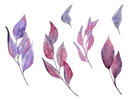 Watercolor hand drawn illustration of purple pink dark leaves leaf. Forest wood halloween herbs, witch witchcraft mystic magic concept, elegant fall autumn design