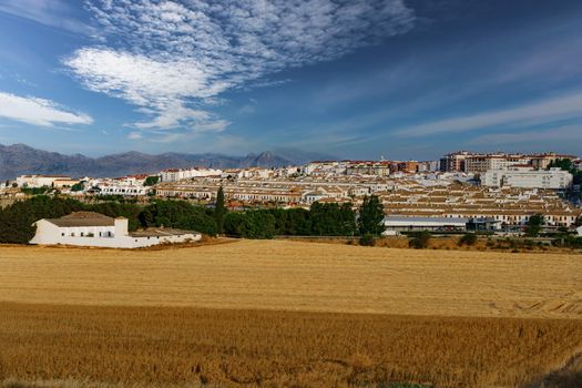 cereal fields with a white village in the background blue sky with white clouds