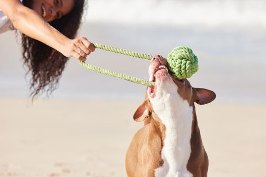 Pets are experts in play. a woman playing with her pit bull at the beach