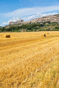 Assisi village in Umbria region, Italy. The town is famous for the most important Italian St. Francis Basilica (Basilica di San Francesco)