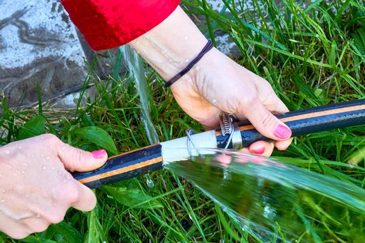 a flexible tube conveying water, used chiefly for watering plants and in firefighting. Hands of a young woman repairing a watering hose in the garden.