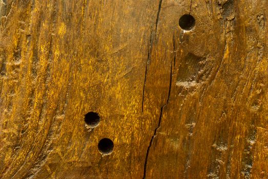 Texture and trenches on surface bark of tree trunk, abstract background