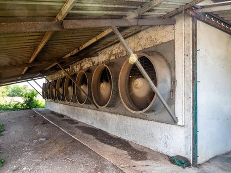 A row of exhaust fans from the livestock house