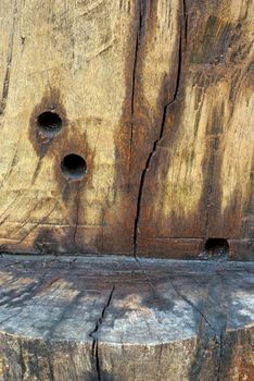 Texture and trenches on surface bark of tree trunk, abstract background