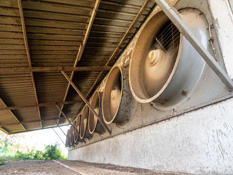 A row of exhaust fans from the livestock house