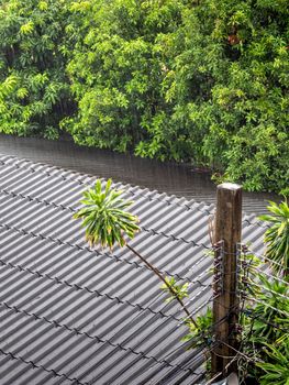 The rain fell on the old tile roof