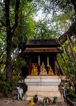 Many Buddha statue in the ancient shrine under the shade of a big tree are many the traditional crutches PHO at all branch of trees