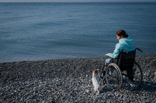 Caucasian woman sitting in a wheelchair with a dog on the seashore