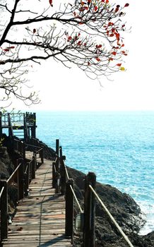 The wooden bridge at cliff and sea